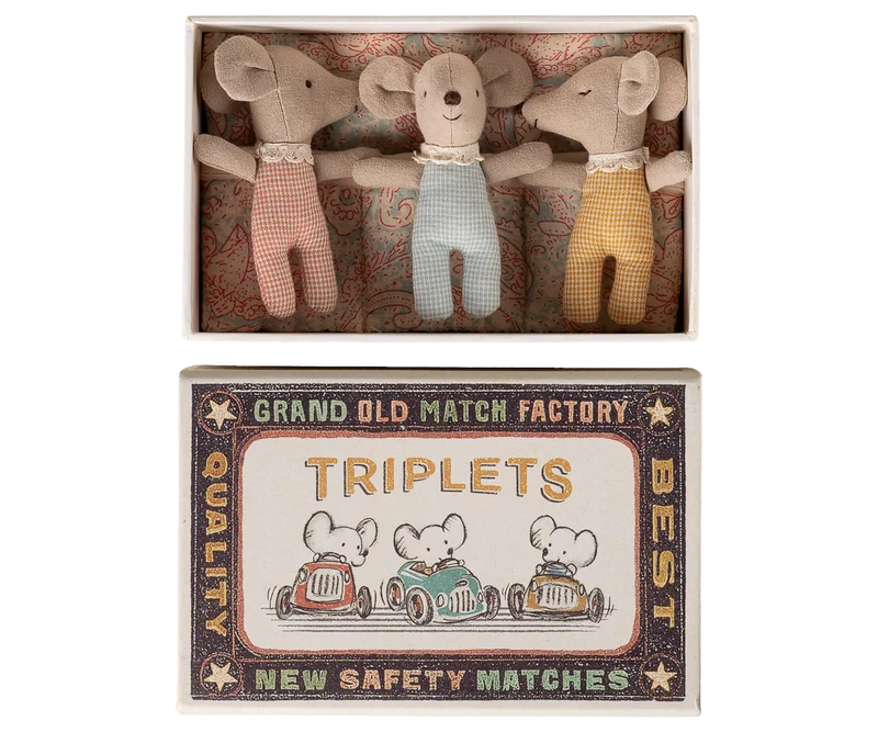 Triplets, Baby mice in matchbox - Checker