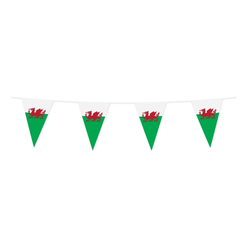 Vlaggetjes slinger Wales 10 meter 20x30 cm