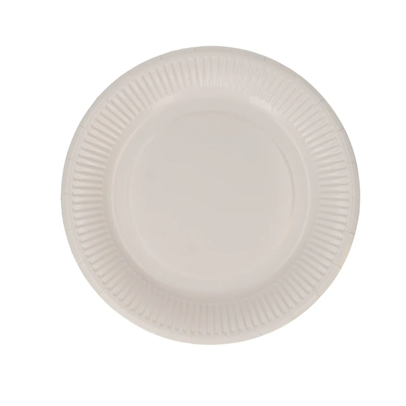 Bordjes papier 18CM 20 stuks