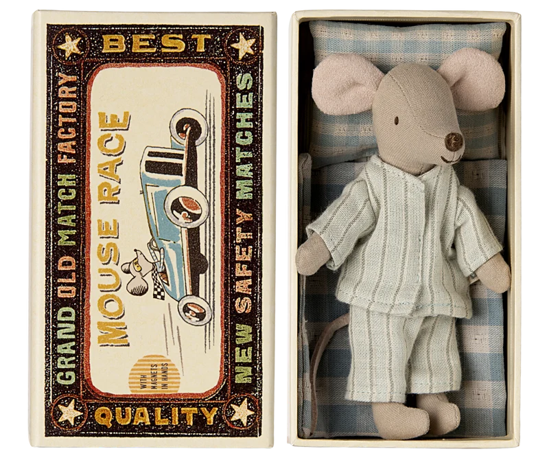 Big brother mouse in matchbox