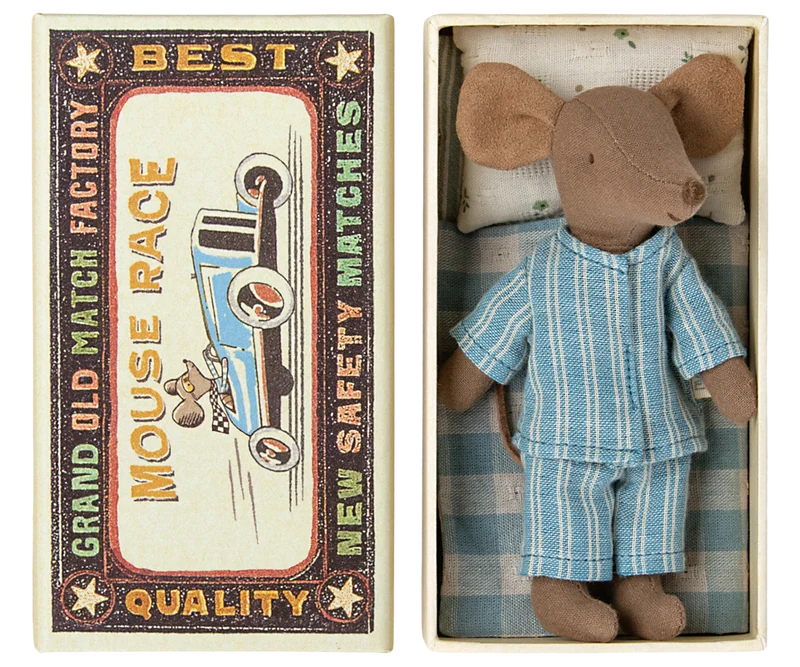 Big brother mouse in matchbox