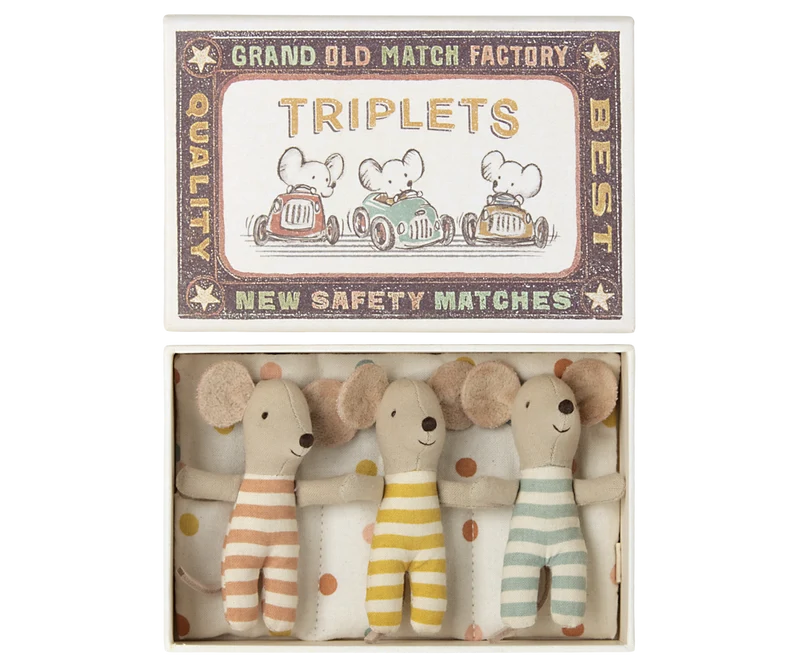 Triplets, Baby mice in matchbox