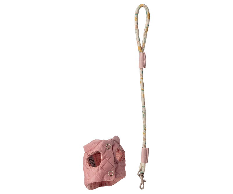 Pet supply, Harness and leash - Rose