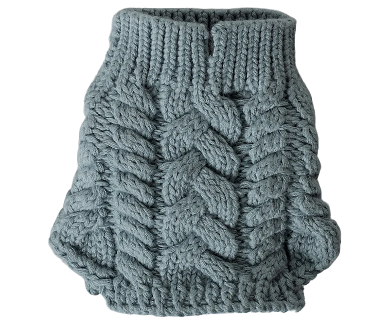 Puppy supply, Sweater - Blue