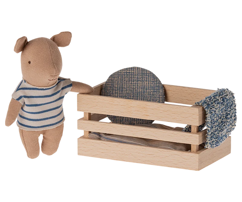 Pig, Baby in box - Boy