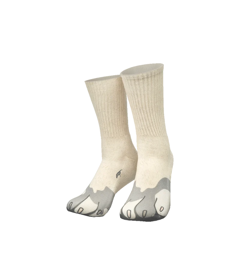 Silly socks - Hond