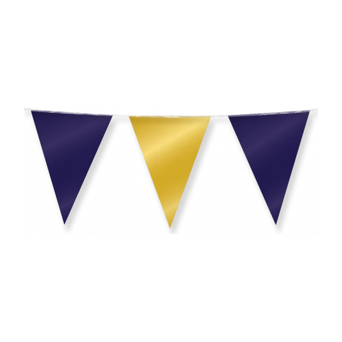 Vlaggenlijn Metallic Goud en Blauw 10 meter