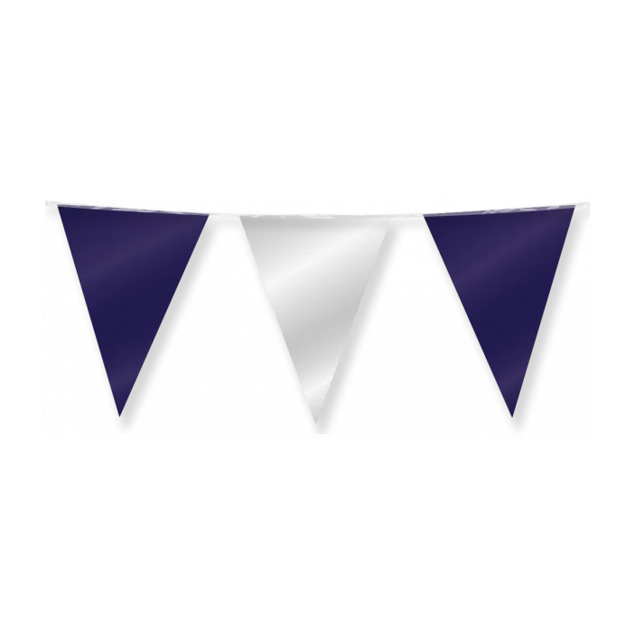Vlaggenlijn Vlaggenlijn Zilver en Blauw 10 meter