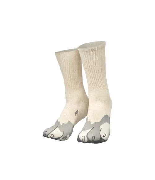 Silly socks - Dog