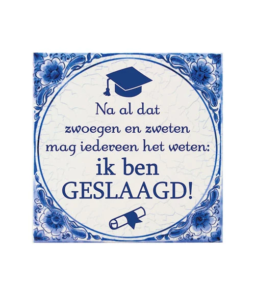 Tegel Delfts blauw - Geslaagd school