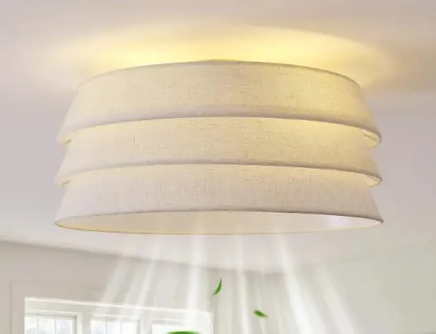 20 Inch Flush Mount Ceiling Fan Low Profile Gold Light Remote Control 6 Speed Bladeless Boho Decor Smooth Breeze No Fuss Setup For Bedroom And Nursery Kitchen