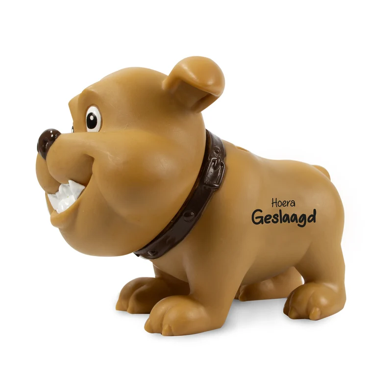 Spaarpot Hond Geslaagd