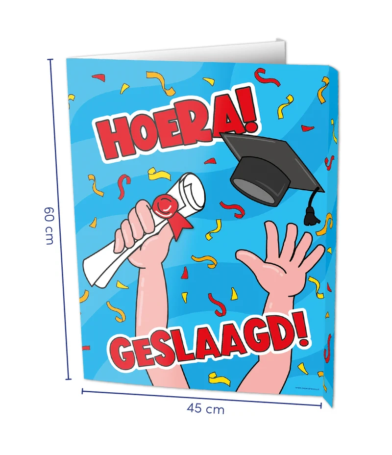 Window sign - Geslaagd school