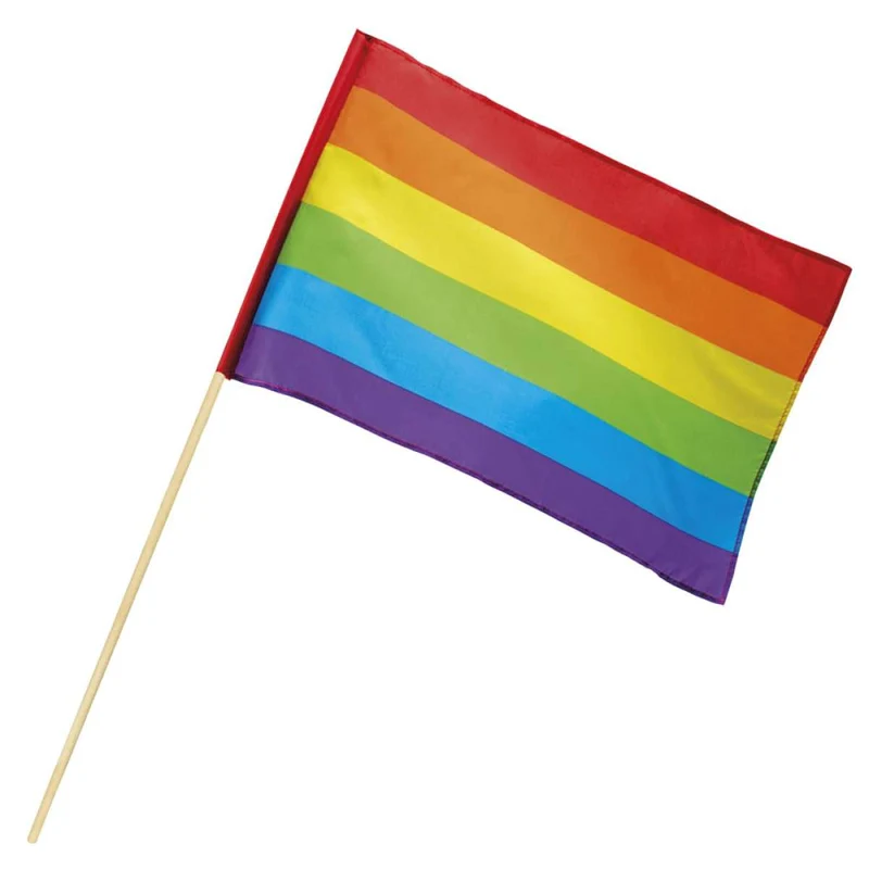 Polyester zwaaivlag Regenboog
