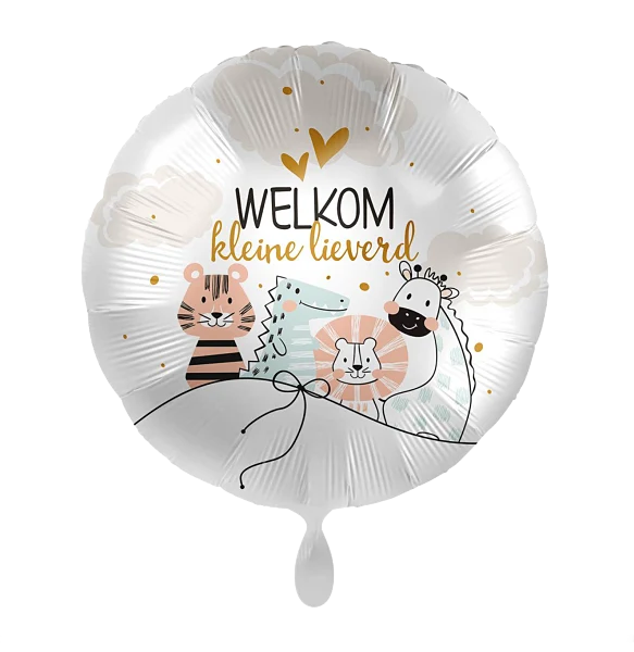 Folieballon Welkom kleine lieverd
