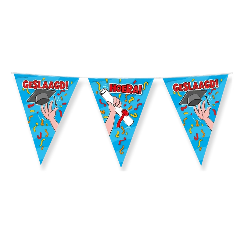 Party Vlaggen - Geslaagd school cartoon - 10 meter