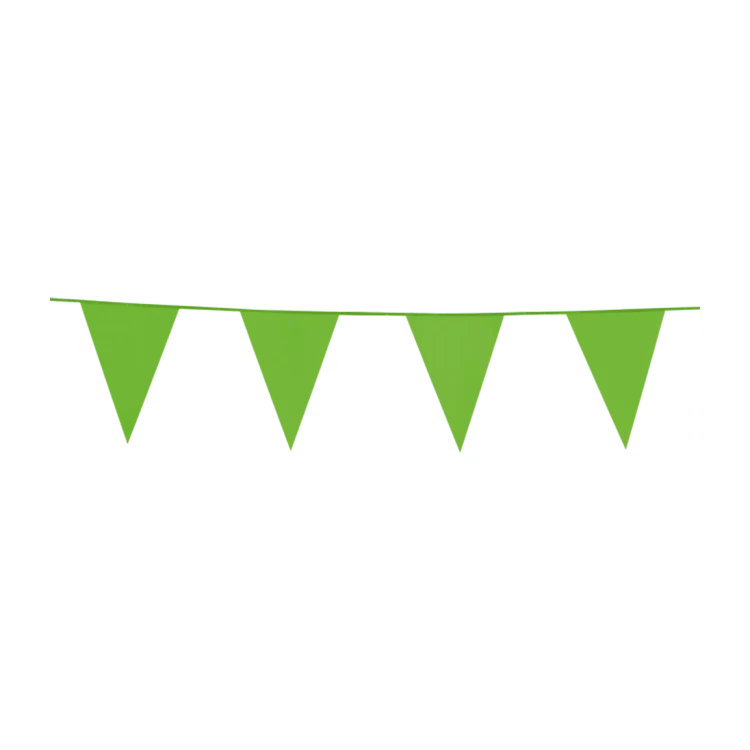 Vlaggenlijn 10 meter Licht groen