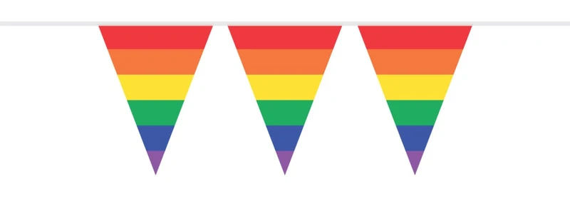 vlaggenlijn pe 10m regenboog